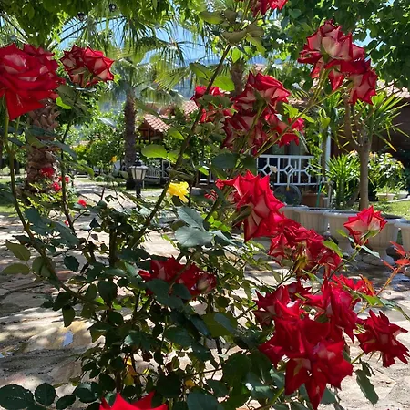 Efsane Casa de Férias