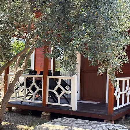 Casa vacanze Efsane *