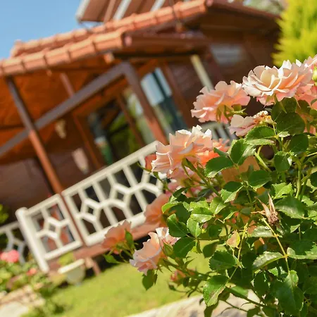 Ferienhaus Efsane *