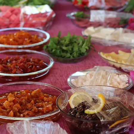 بيت للعطل Efsane